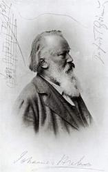 Johannes Brahms (1833-97) (photogravure) | Obraz na stenu
