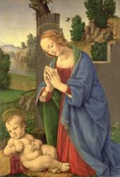 The Virgin Adoring the Child, 1490-1500 (oil on wood) | Obraz na stenu
