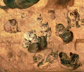 Study of cats, 1616 (oil on panel) (detail of 65879) | Obraz na stenu