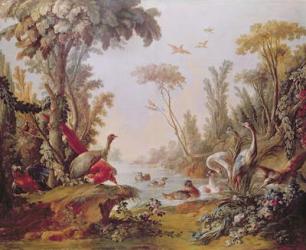 Lake with geese, storks, parrots and herons, from the Salon of Gilles Demarteau (1722-76) c.1750-65 (oil on canvas) | Obraz na stenu