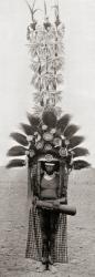 A head dress worn by a member of the Roro tribe from Papua New Guinea, Melanesia. The design of the tall framed feather structure on the head is unique to each clan, not to be imitated by other clans. After a 19th century photograph. From Customs of The W | Obraz na stenu