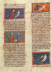 Ms H 89 fol.21v Anatomical figures, from an edition of 'Book of Surgery' by Rogier de Salerne (vellum) | Obraz na stenu