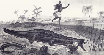A Crocodile Snatches a Child from an African Village (etching) | Obraz na stenu