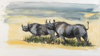 black rhinos in Masai mara, 2012, (mixed media) | Obraz na stenu