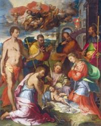 The Nativity, 1534 (oil on panel) | Obraz na stenu
