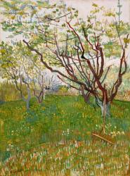 The Flowering Orchard, 1888 (oil on canvas) | Obraz na stenu