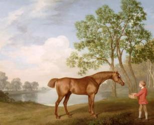 Pumpkin with a Stable-Lad, 1774 (oil on panel) | Obraz na stenu