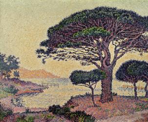 Umbrella Pines at Caroubiers, 1898 (oil on canvas) | Obraz na stenu