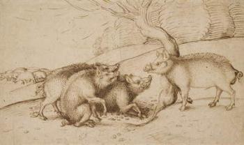 The Boar Family (pen and ink on white paper) | Obraz na stenu