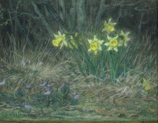 Narcissi and Violets, c.1867 (pastel on paper) | Obraz na stenu