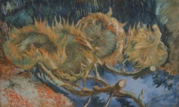 Four Withered Sunflowers, 1887 (oil on canvas) | Obraz na stenu