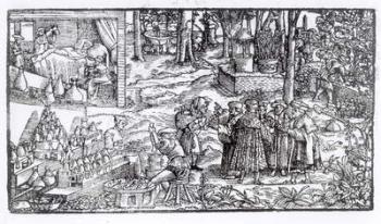 Medical Herb Cultivation, 1531 (woodcut) (b/w photo) | Obraz na stenu