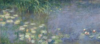 Waterlilies: Morning, 1914-18 (left section) | Obraz na stenu