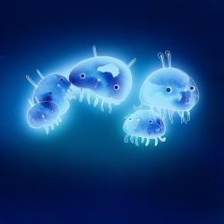 Jelly fish, 2013 (mix media) | Obraz na stenu