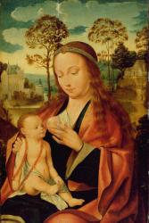 Mary with the Christ Child, early 16th century (oil on panel) | Obraz na stenu