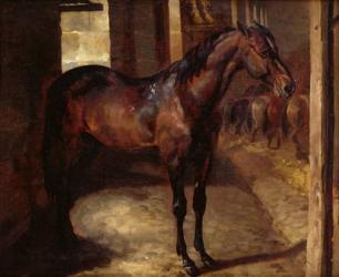 Dark Bay Horse in the stable (oil on canvas) | Obraz na stenu