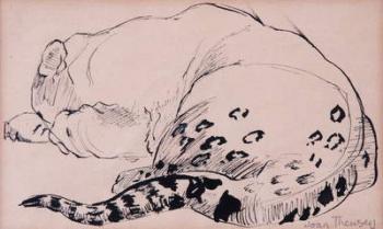 Sketch,Leopard,London Zoo 2005, (pen and ink) | Obraz na stenu