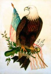 Bald eagle with flag (tempera on velvet) | Obraz na stenu