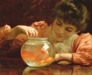 The Goldfish Bowl (oil on canvas) | Obraz na stenu