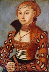 Portrait of a Noble Saxon Woman, 1534 (oil on wood) | Obraz na stenu