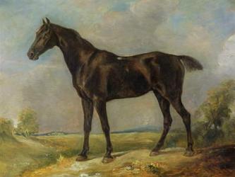 Golding Constable's Black Riding-Horse, c.1805-10 (oil on panel) | Obraz na stenu
