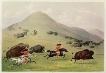 The Buffalo Hunt, c.1832 (coloured engraving) | Obraz na stenu