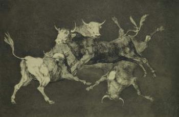 Folly of the Bulls, from the Follies series, c.1815-24 (etching and aquatint on Japanese paper) | Obraz na stenu