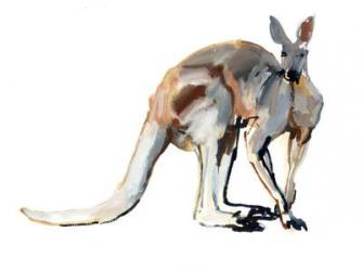 Roo, (Red Kangaroo), 2012, (watercolour and pigment on paper) | Obraz na stenu