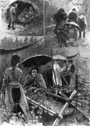 With the distressed hop-pickers in Kent, from 'The Illustrated London News', September 11th, 1897 (litho) | Obraz na stenu
