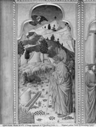 Cycle of the Life of the Virgin, Annunciation to Joachim, c.1445 (oil on poplar panel) (b/w photo) | Obraz na stenu