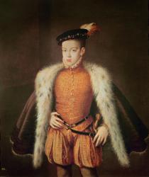 Don Carlos, Prince of Asturias and Portugal, c.1558 (oil on canvas) | Obraz na stenu