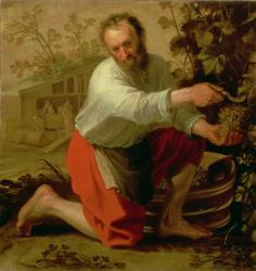 Vine Grower, 1628 (oil on canvas) | Obraz na stenu