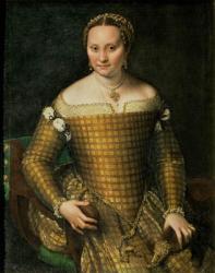 Portrait of the artist's mother, Bianca Ponzoni Anguisciola, 1557 | Obraz na stenu