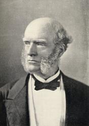 Portrait of Thomas Hughes (1822-96) (litho) | Obraz na stenu