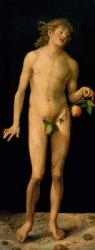 Adam, 1507 (oil on panel) | Obraz na stenu