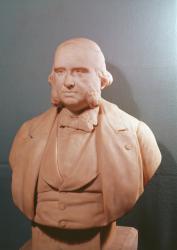 Bust of Paul Broca (1824-80) 1881 (stone) | Obraz na stenu