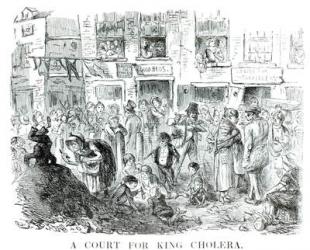 A Court for King Cholera, 1852 (litho) (b/w photo) | Obraz na stenu