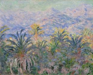 Palm Trees at Bordighera, 1884 (oil on canvas) | Obraz na stenu