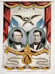 Democratic presidential campaign banner, 1852 (lithograph) | Obraz na stenu