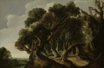 Wooded Landscape, c.1633 (oil on panel) | Obraz na stenu