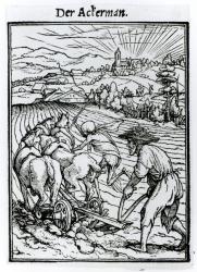 Death and the Ploughman, from 'The Dance of Death, engraved by Hans Lutzelburger, c.1538 (woodcut) (b/w photo) | Obraz na stenu