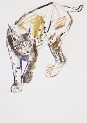 European Lynx (charcoal & conte on paper) | Obraz na stenu
