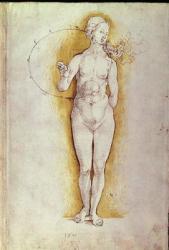 Female nude (pen and ink on paper) | Obraz na stenu