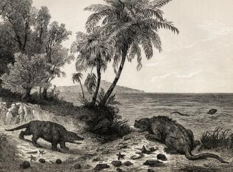 Chalk-age landscape (engraving) | Obraz na stenu