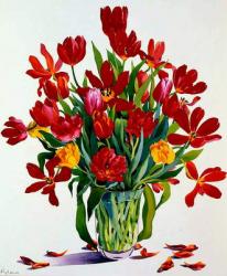 Tulips (w/c on paper) | Obraz na stenu
