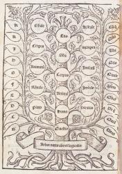 Celestial ladder from 'De Nova Logica' by Ramon Llull (c.1235-1316) c.1512 (woodcut) | Obraz na stenu