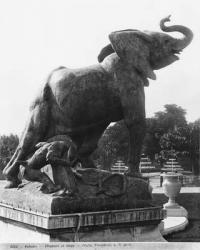 Young Elephant caught in a trap, in front of the first Trocadero Palace constructed for the Universal Exhibition in 1878, 1878 (cast iron) (b/w photo) | Obraz na stenu
