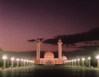 The Bourguiba Mosque at night (photo) | Obraz na stenu