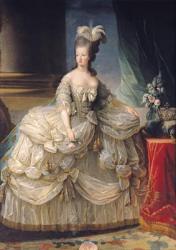 Marie Antoinette (1755-93) Queen of France, 1779 (oil on canvas) | Obraz na stenu