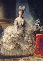 Marie Antoinette (1755-93) Queen of France, 1779 (oil on canvas) | Obraz na stenu